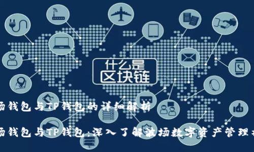 波场钱包与TP钱包的详细解析

波场钱包与TP钱包：深入了解波场数字资产管理神器