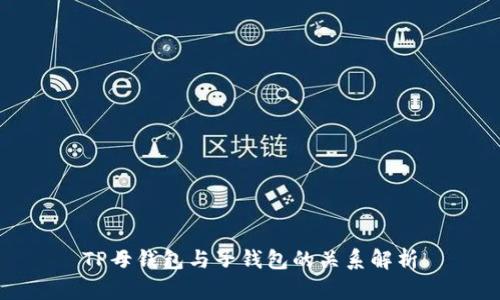 TP母钱包与子钱包的关系解析