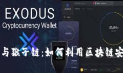 全面解析TP钱包与猴子链：