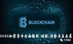 KCASH加密货币全面解析：功