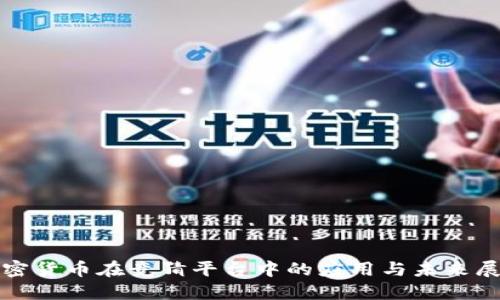 加密货币在竞猜平台中的应用与未来展望