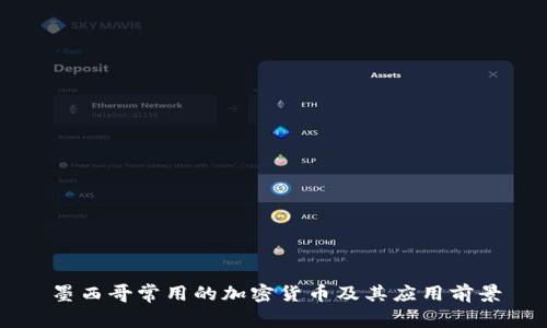 墨西哥常用的加密货币及其应用前景
