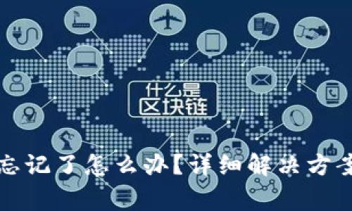 tp钱包支付密码忘记了怎么办？详细解决方案与常见问题解析