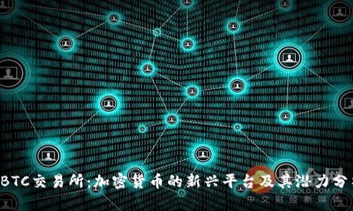 HBTC交易所：加密货币的新兴平台及其潜力分析