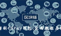 全方位解析CGPay钱包：使用