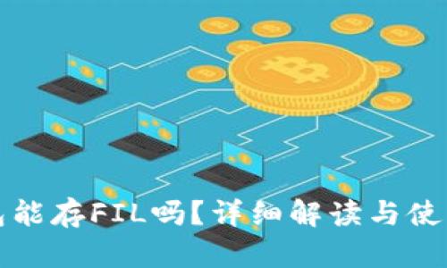 TP钱包能存FIL吗？详细解读与使用指南