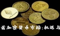 阿联酋加密货币市场：机