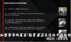 加密货币的未来：投资者