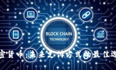 加密货币：未来支付方式