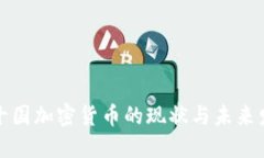 二十国加密货币的现状与