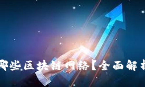 TP钱包支持哪些区块链网络？全面解析及使用指南