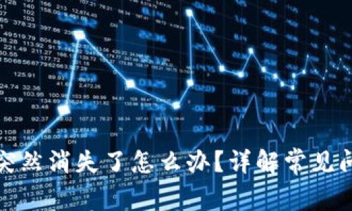 TP钱包里的币突然消失了怎么办？详解常见问题及解决方案