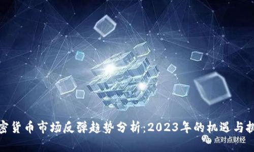 加密货币市场反弹趋势分析：2023年的机遇与挑战