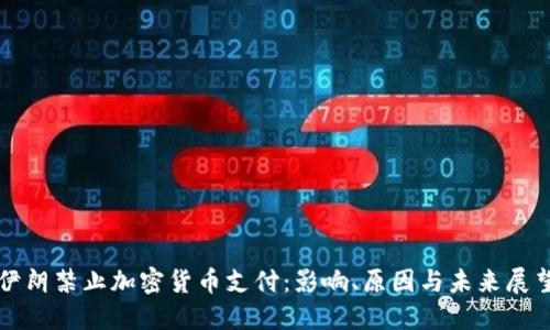伊朗禁止加密货币支付：影响、原因与未来展望