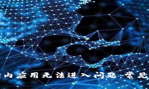 如何解决TP钱包内应用无法进入问题：常见原因与解决方案