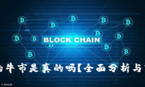 加密货币圈的牛市是真的吗？全面分析与市场前景展望