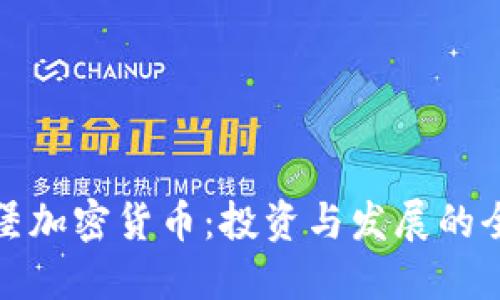 普拉茨堡加密货币：投资与发展的全景探讨