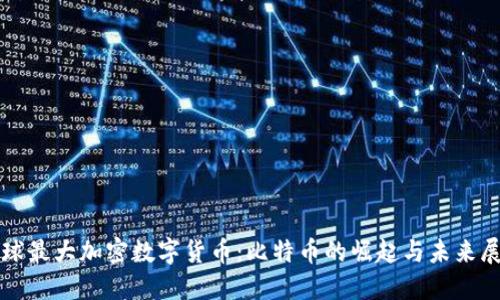 全球最大加密数字货币：比特币的崛起与未来展望