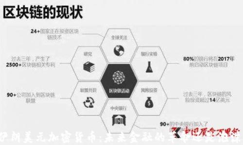 
伊朗美元加密货币：未来金融的革命还是泡沫？