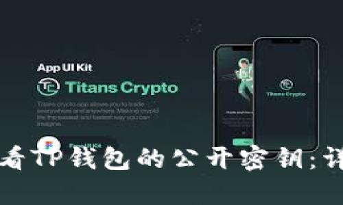 如何查看TP钱包的公开密钥：详尽指南