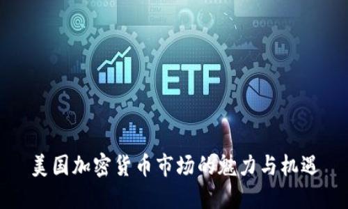 美国加密货币市场的魅力与机遇