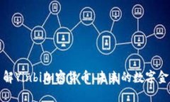 深入了解Yinbi加密货币：未