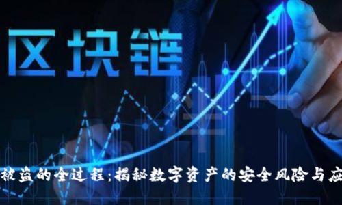 TP钱包被盗的全过程：揭秘数字资产的安全风险与应对策略