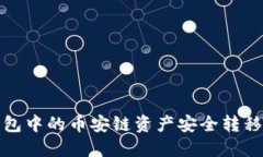 如何将TP钱包中的币安链资