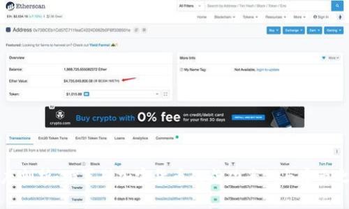 深度剖析：俄罗斯加密货币的成功案例与启示之旅