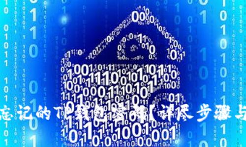 如何找回忘记的TP钱包密码？详尽步骤与实用建议