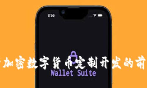 全面解析加密数字货币定制开发的前景与挑战