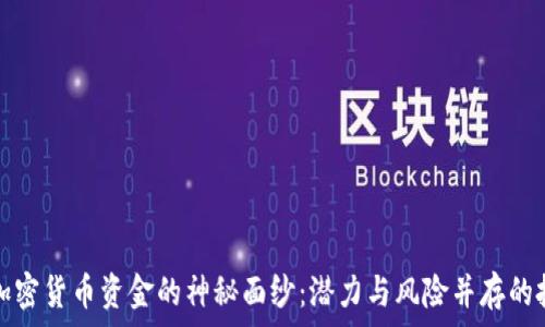   
揭开美元加密货币资金的神秘面纱：潜力与风险并存的投资风向标