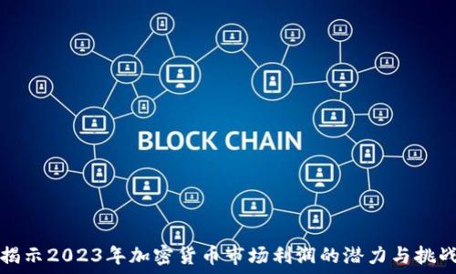   
揭示2023年加密货币市场利润的潜力与挑战