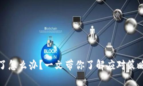 TP钱包倒闭了怎么办？一文带你了解应对策略与替代选项