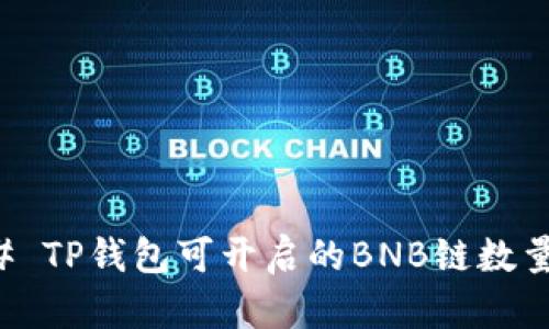 ### TP钱包可开启的BNB链数量详解