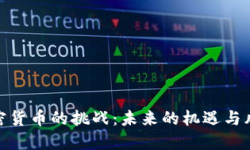 加密货币的挑战：未来的机遇与风险