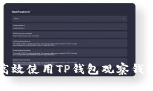 如何高效使用TP钱包观察钱包功能