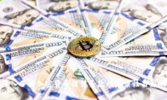 深入了解加密货币法律条