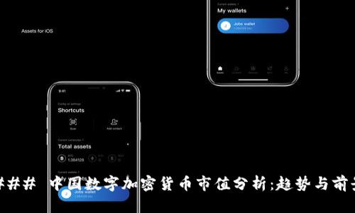 ### 中国数字加密货币市值分析：趋势与前景