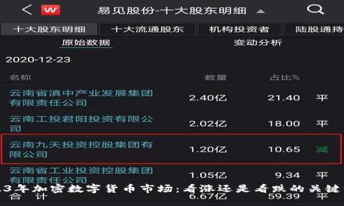 2023年加密数字货币市场：看涨还是看跌的关键分析