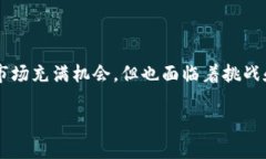 引言：深入了解印度的加