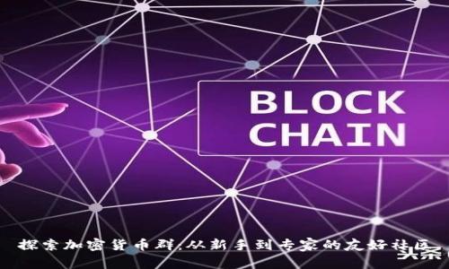 探索加密货币群：从新手到专家的友好社区