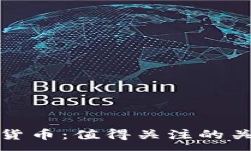 :
如何精准评估加密货币：值得关注的关键因素与实用技巧