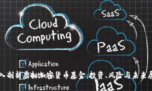 深入剖析虚拟加密货币基金：投资、风险与未来展望