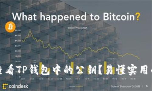 如何查看TP钱包中的公钥？易懂实用的指南