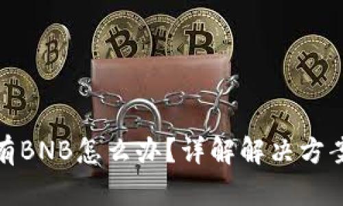 TP钱包里没有BNB怎么办？详解解决方案与使用攻略