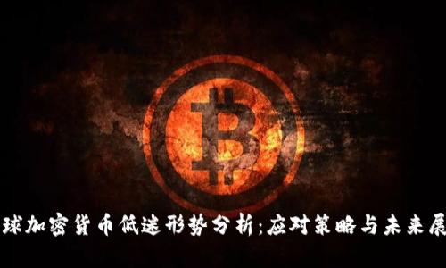 全球加密货币低迷形势分析：应对策略与未来展望
