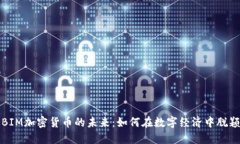 探索BIM加密货币的未来：