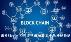 揭开Ripple CEO与中国加密货