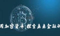 美国专用加密货币：探索